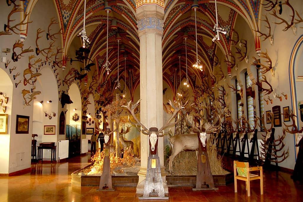 Hungarian Agricultural Museum Collection