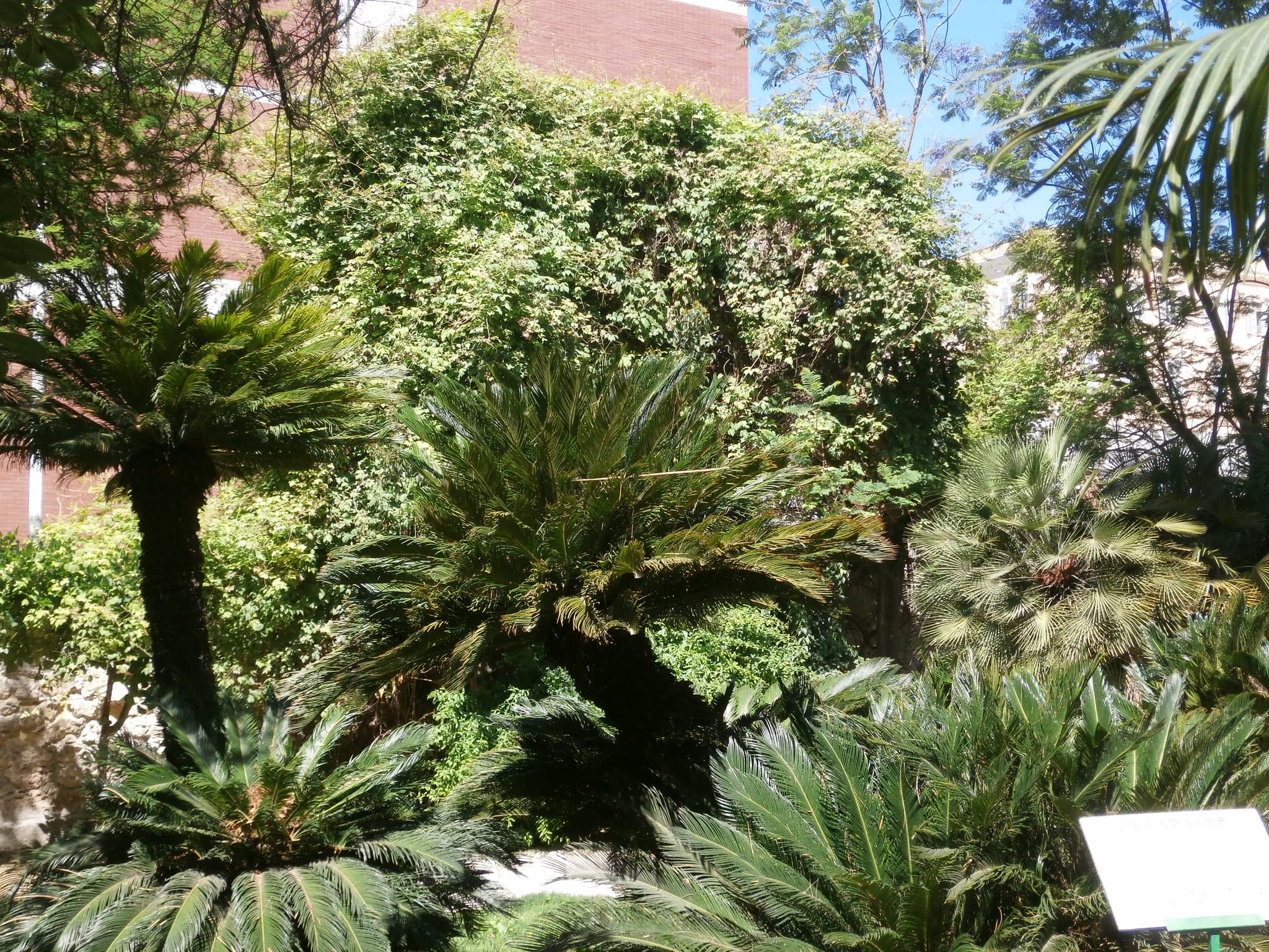 Mediterranean Collection