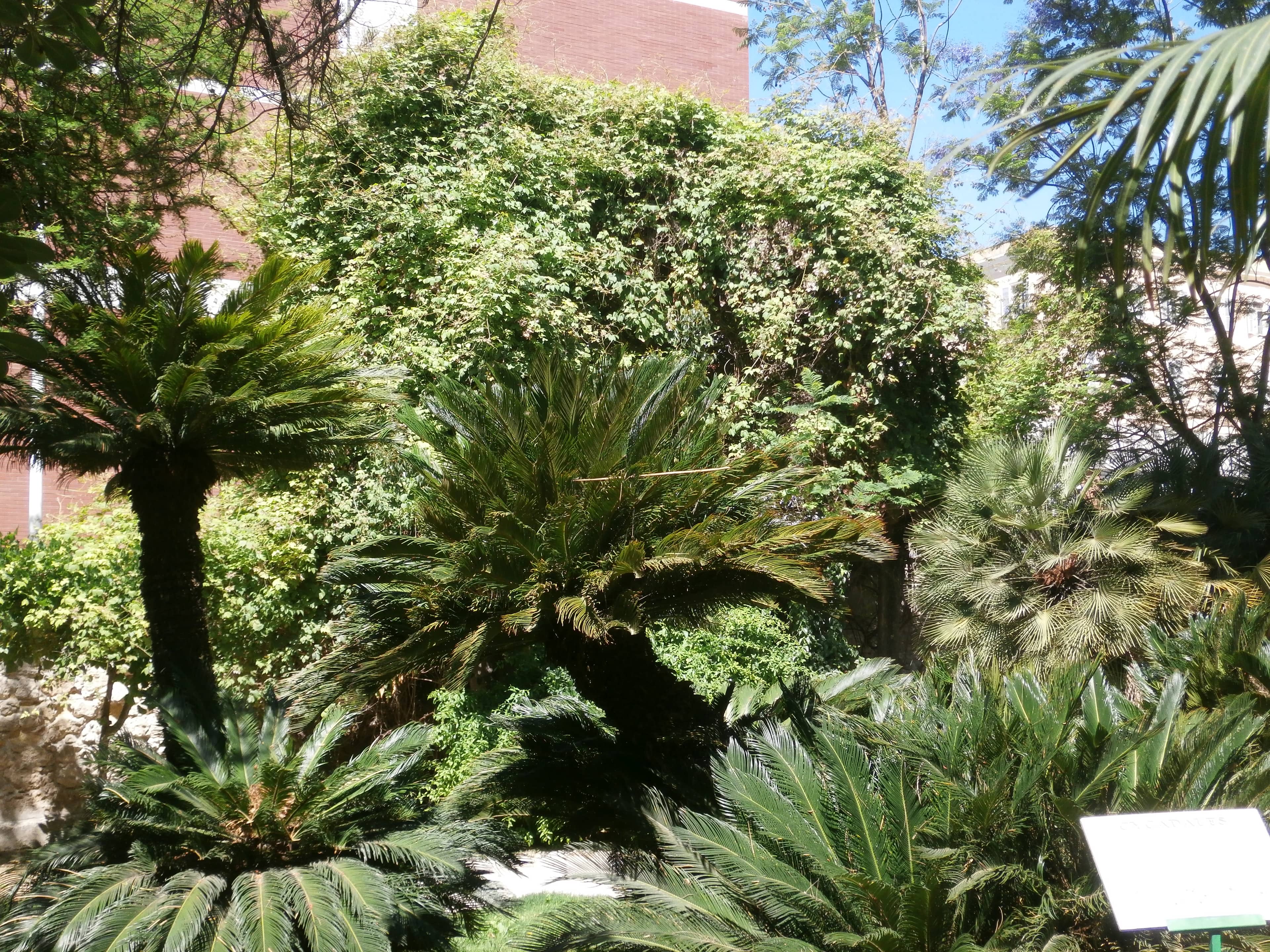 Mediterranean Collection