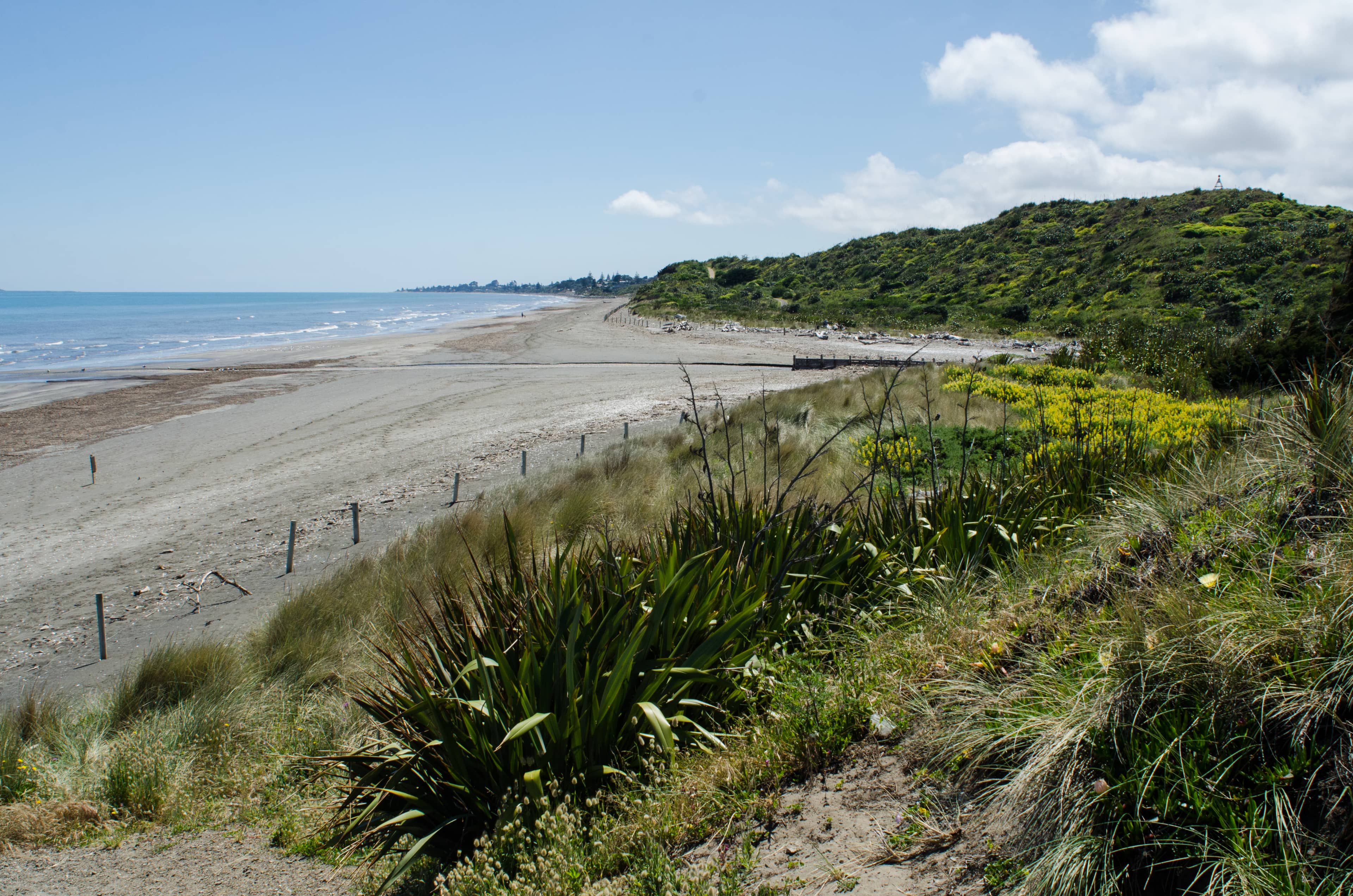 Panoramic Coastal Vistas
