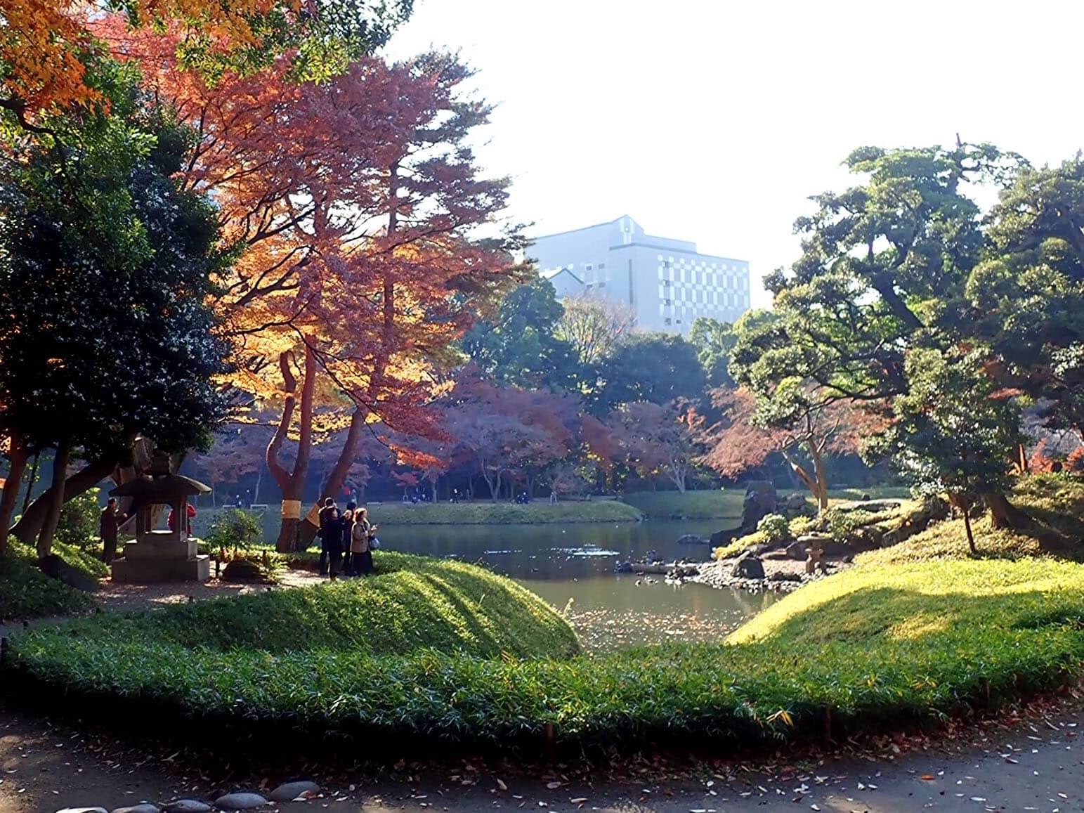 Autumn Foliage