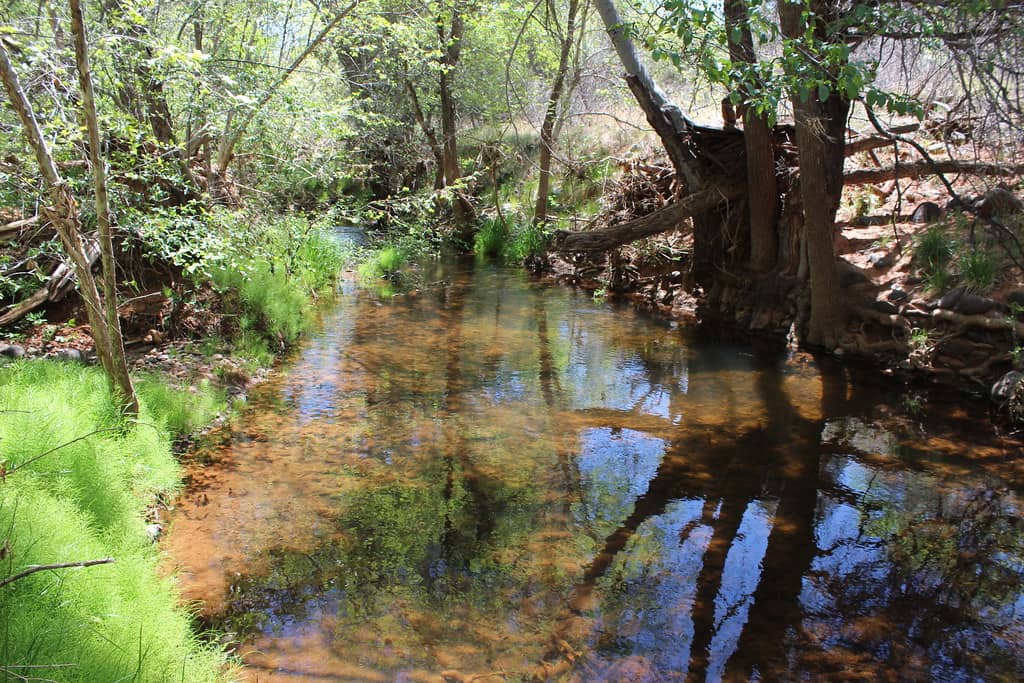 Oak Creek Trail