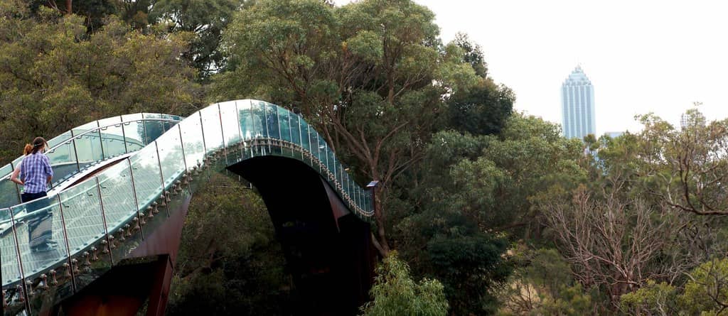 Panoramic City Views