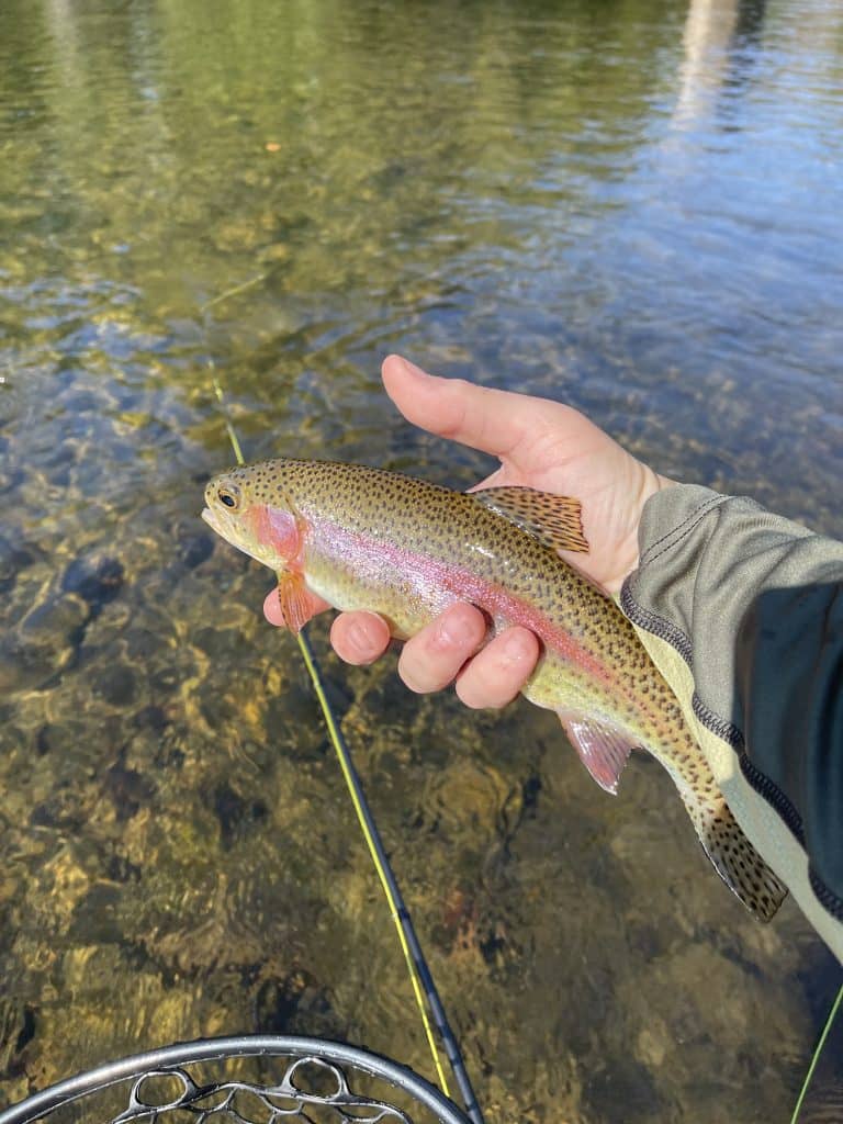 Fishing Opportunities