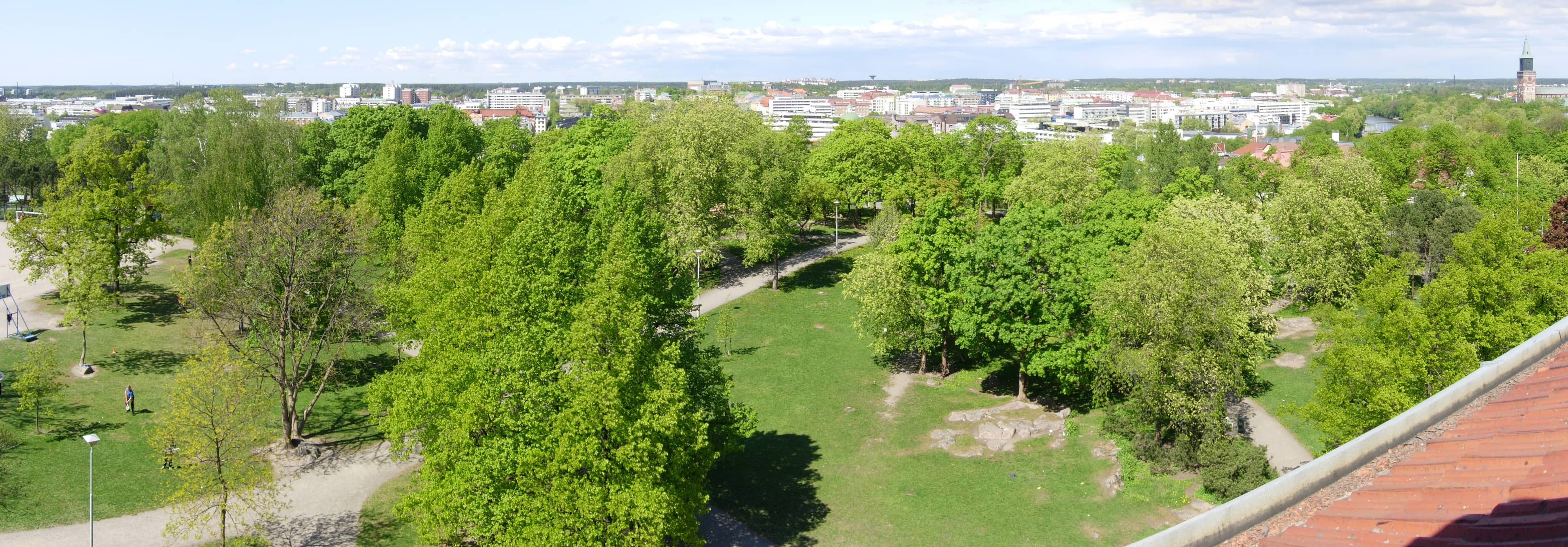 Peaceful Park Ambiance