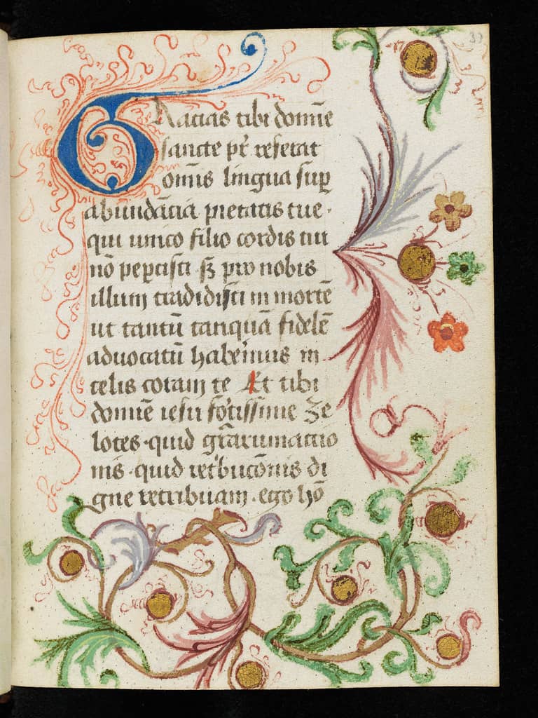 Illuminated Treasures