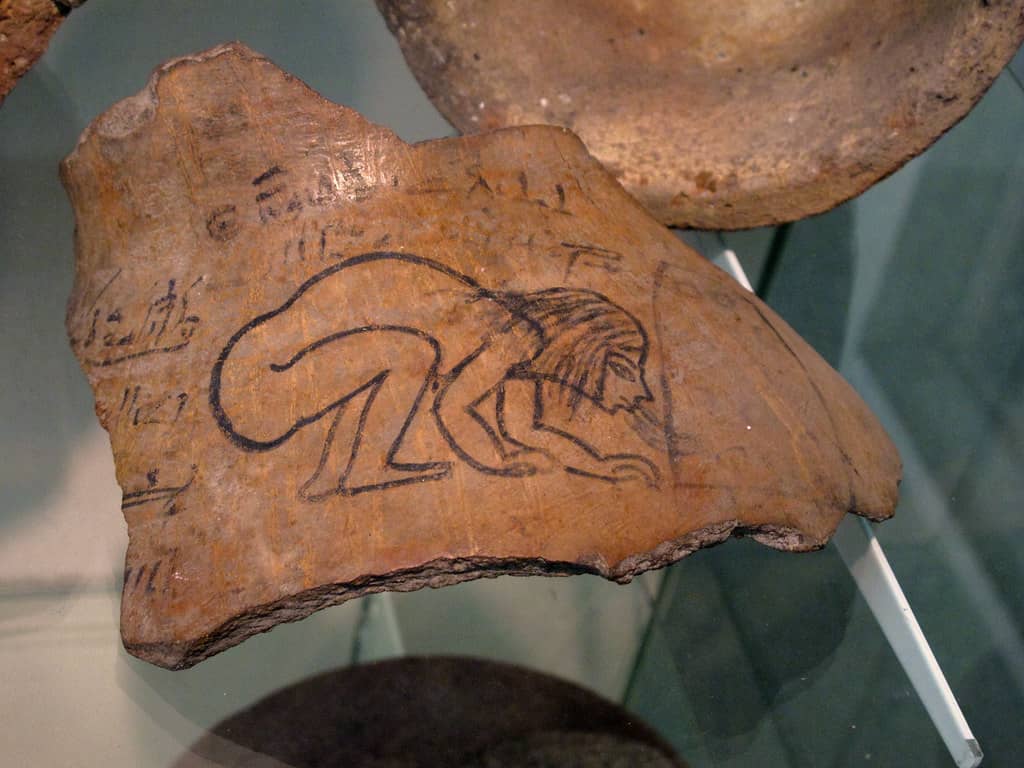 Informative Exhibits