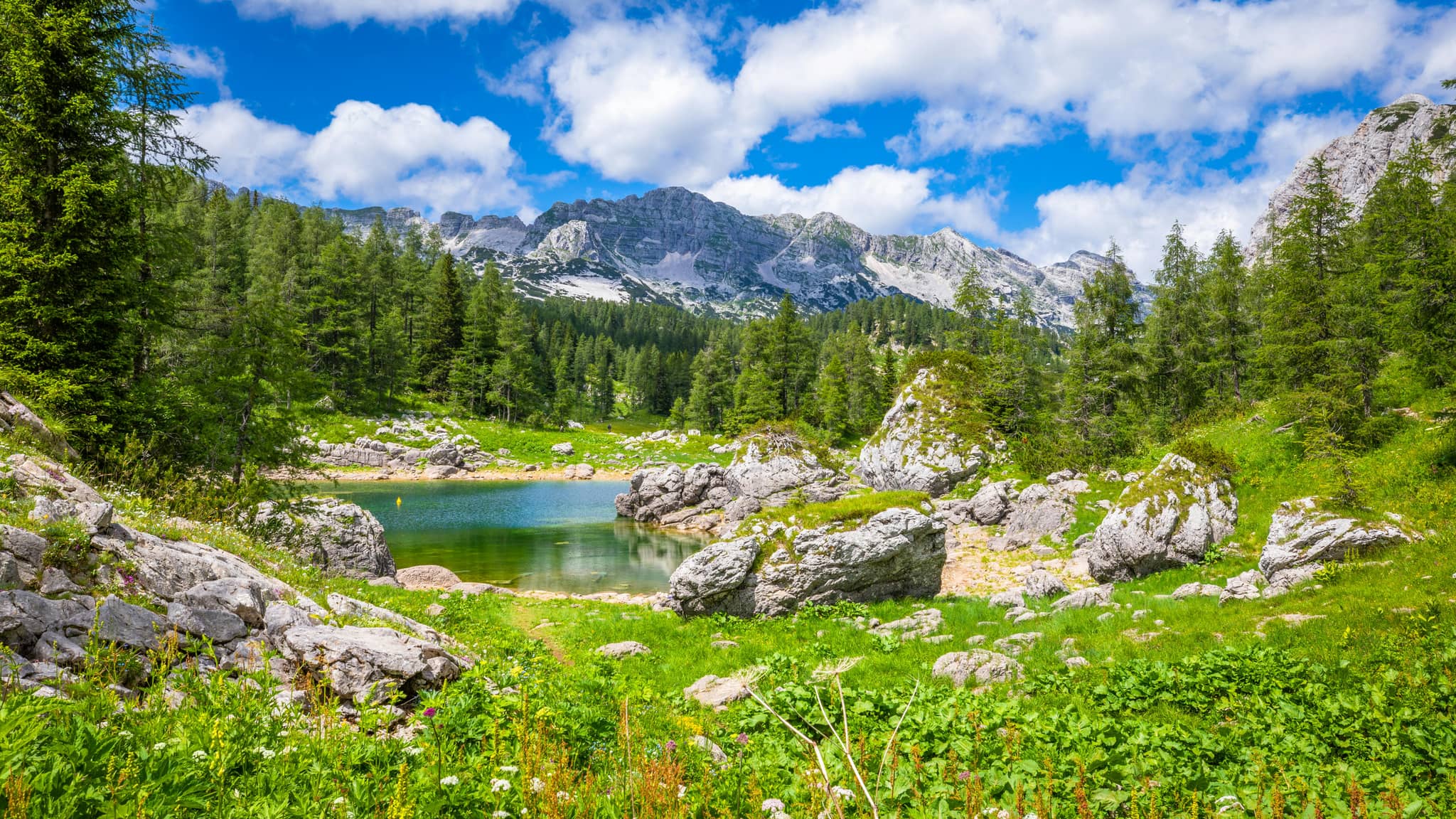 Triglav National Park Views
