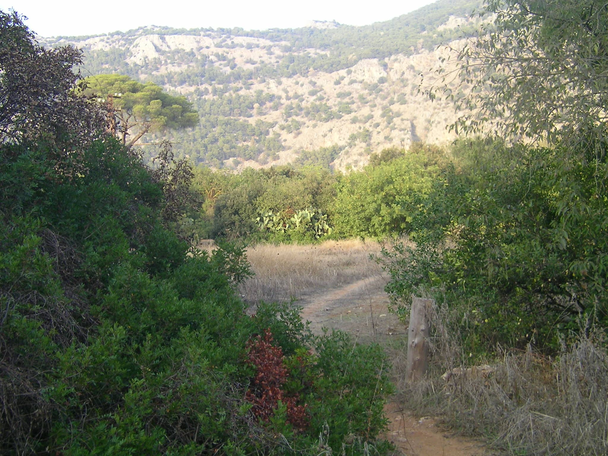 Nature Trails