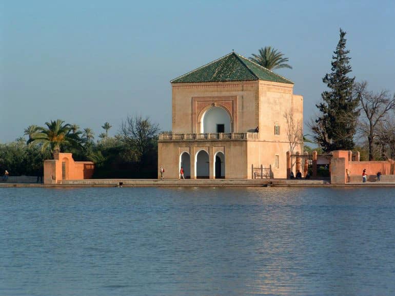 Expansive Olive Groves