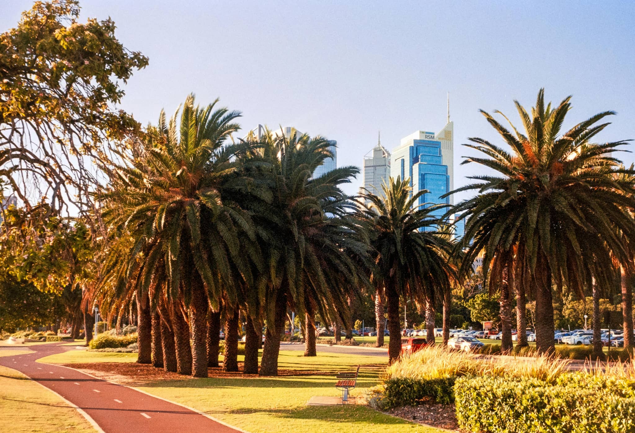Lush Green Spaces