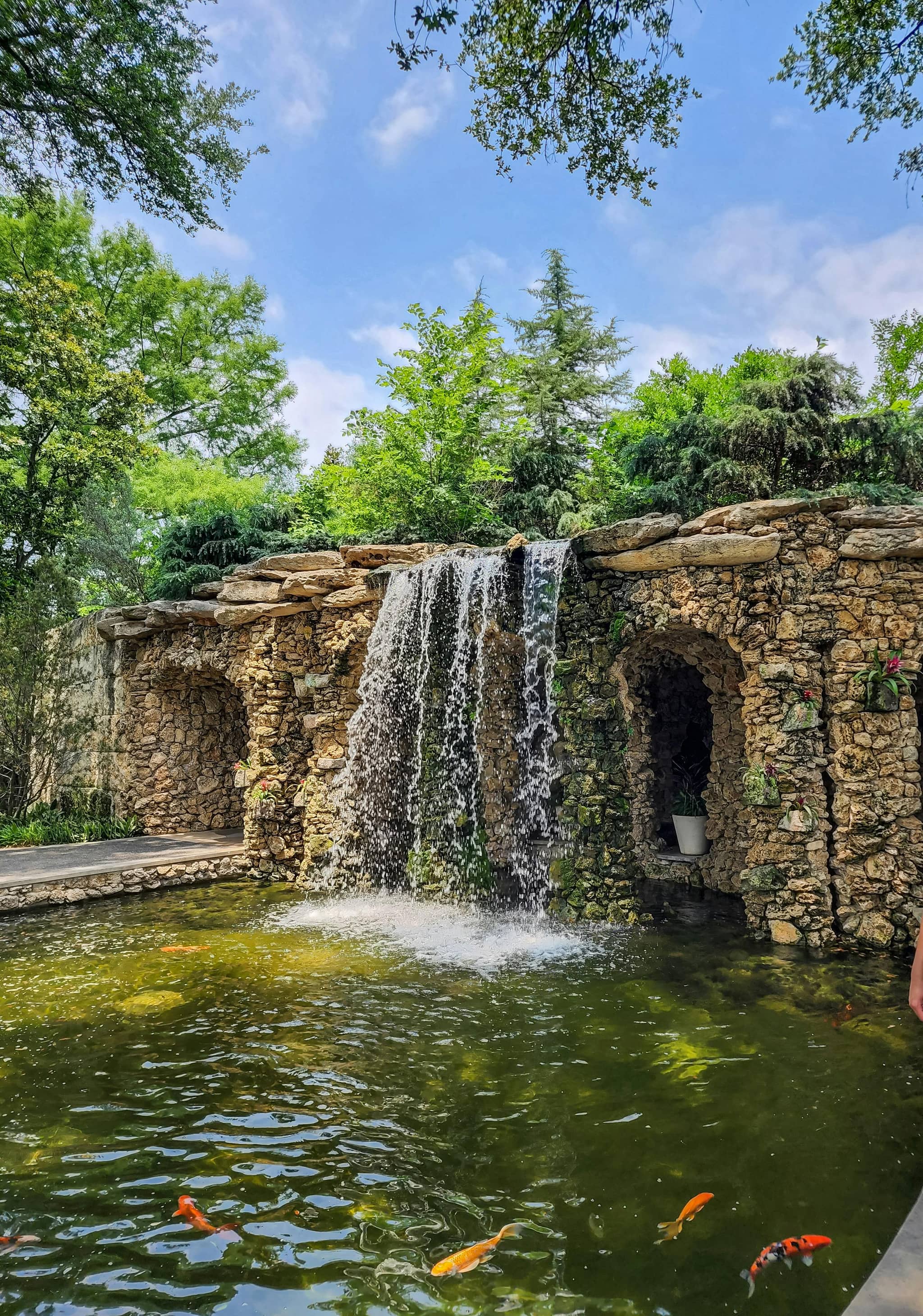 Rock Garden