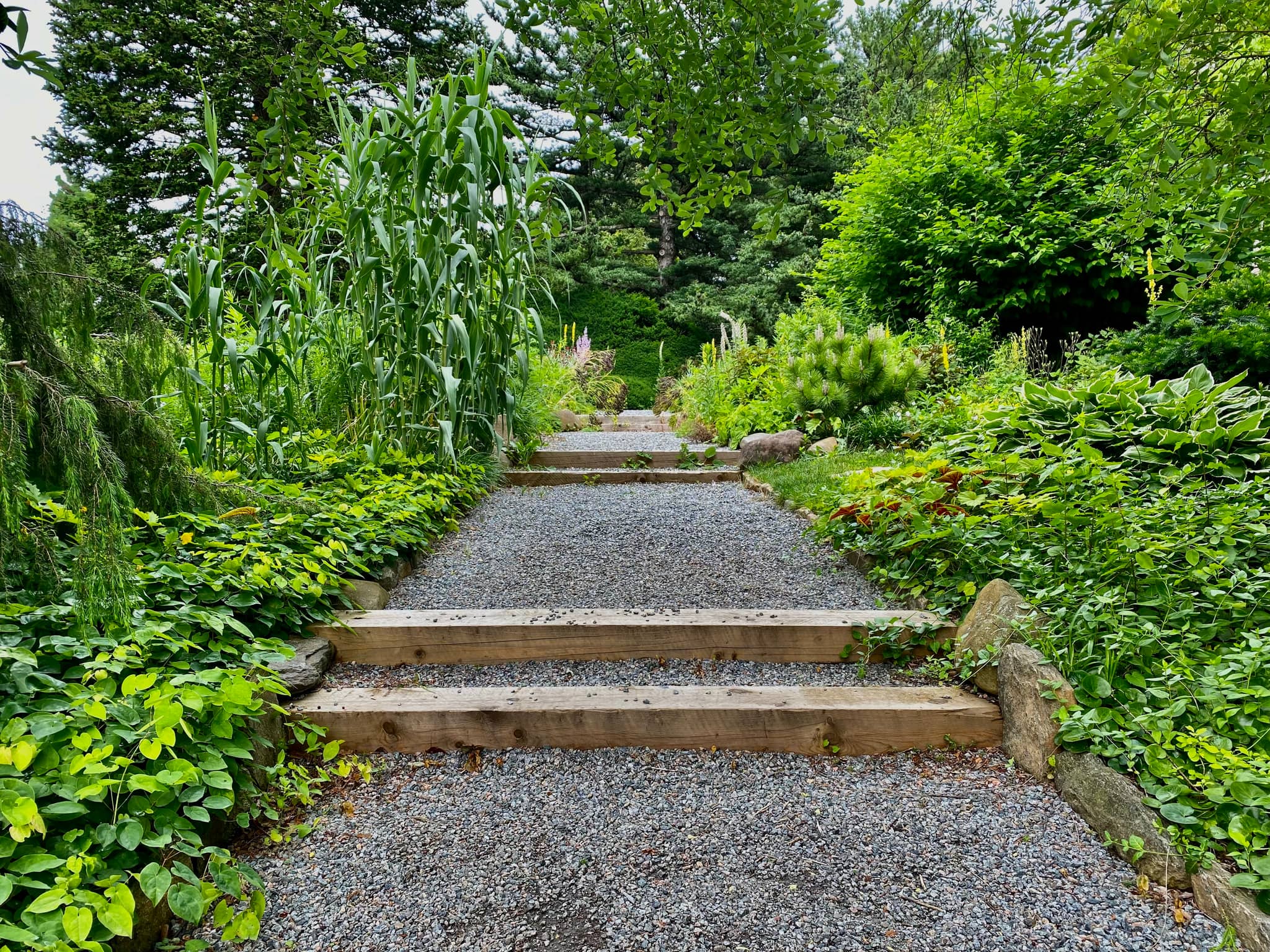 Wooded Paths