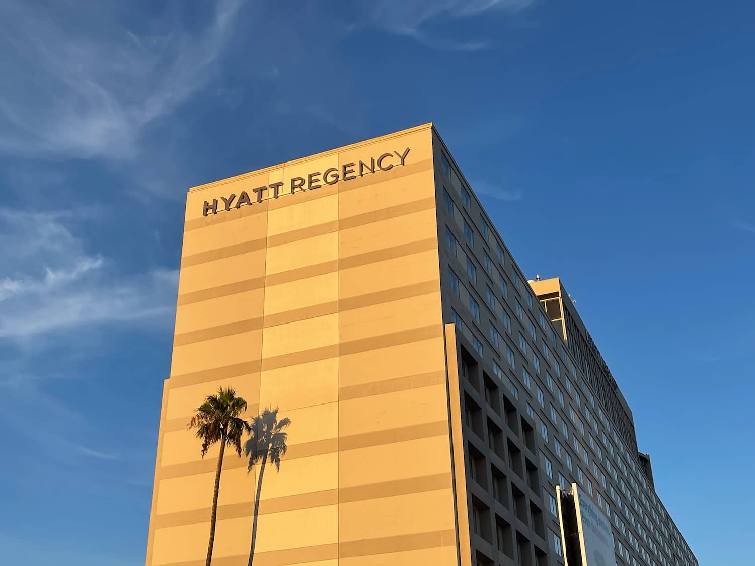 Highlights
