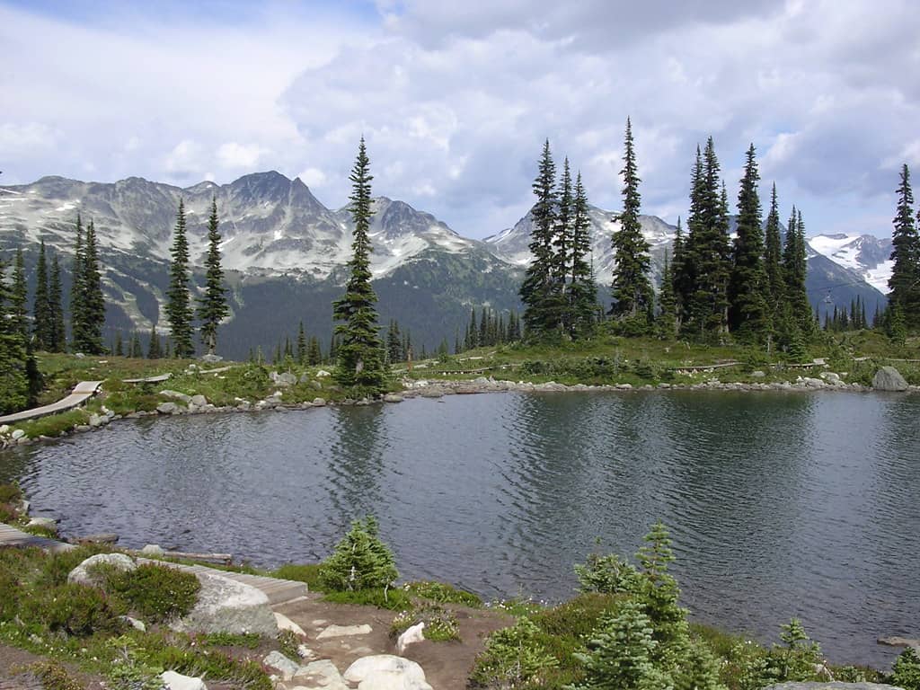 Alpine Hiking Trails