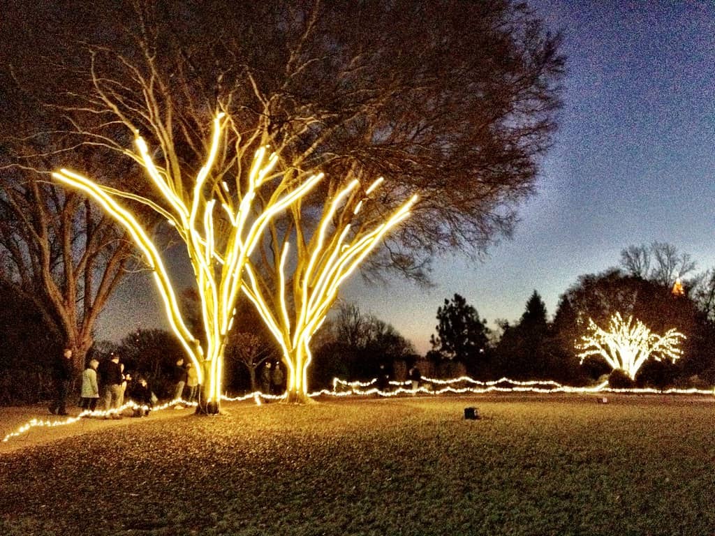 Holiday Lights Spectacle