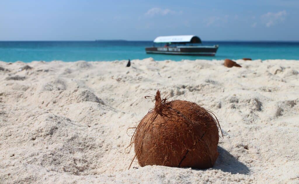 Fresh Coconut Water