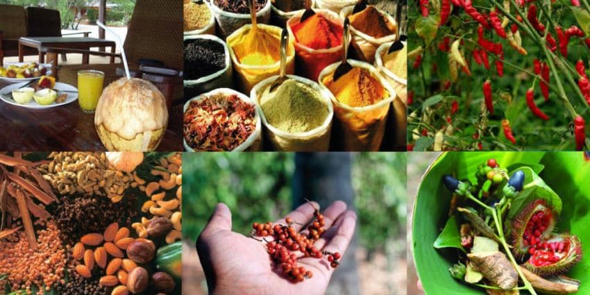 Cooking Class & Meal