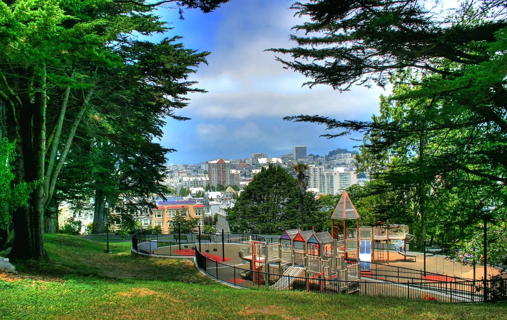 Children's Play Area