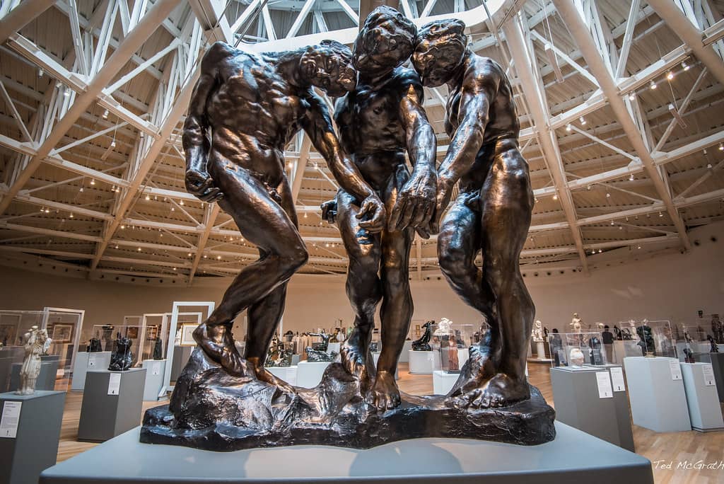 Rodin Collection