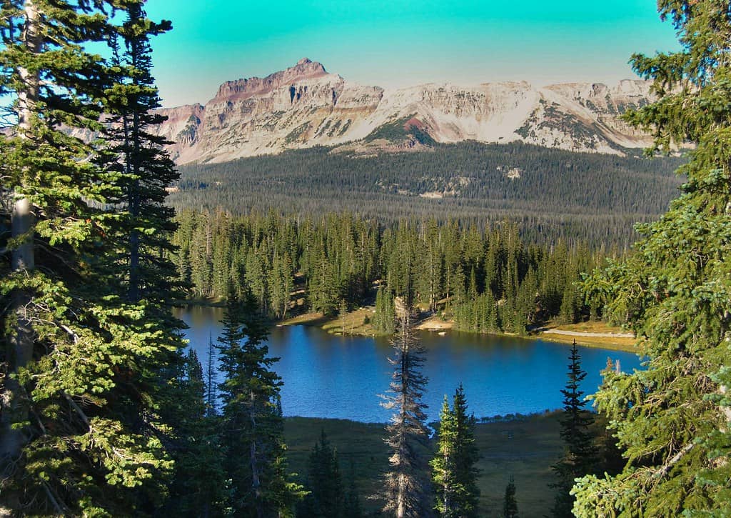 Mirror Lake Itself