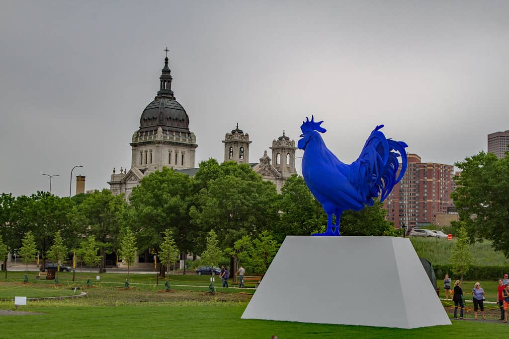 Blue Rooster