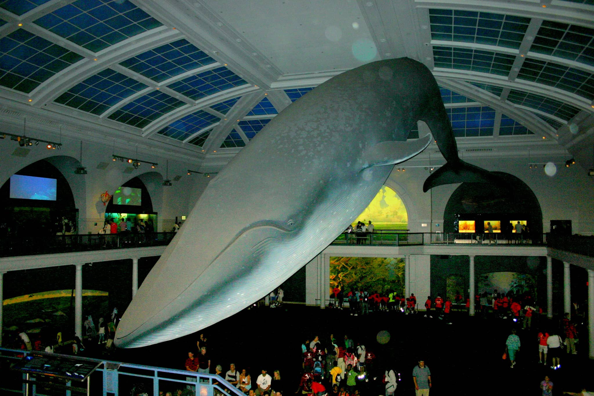 Milstein Hall of Ocean Life