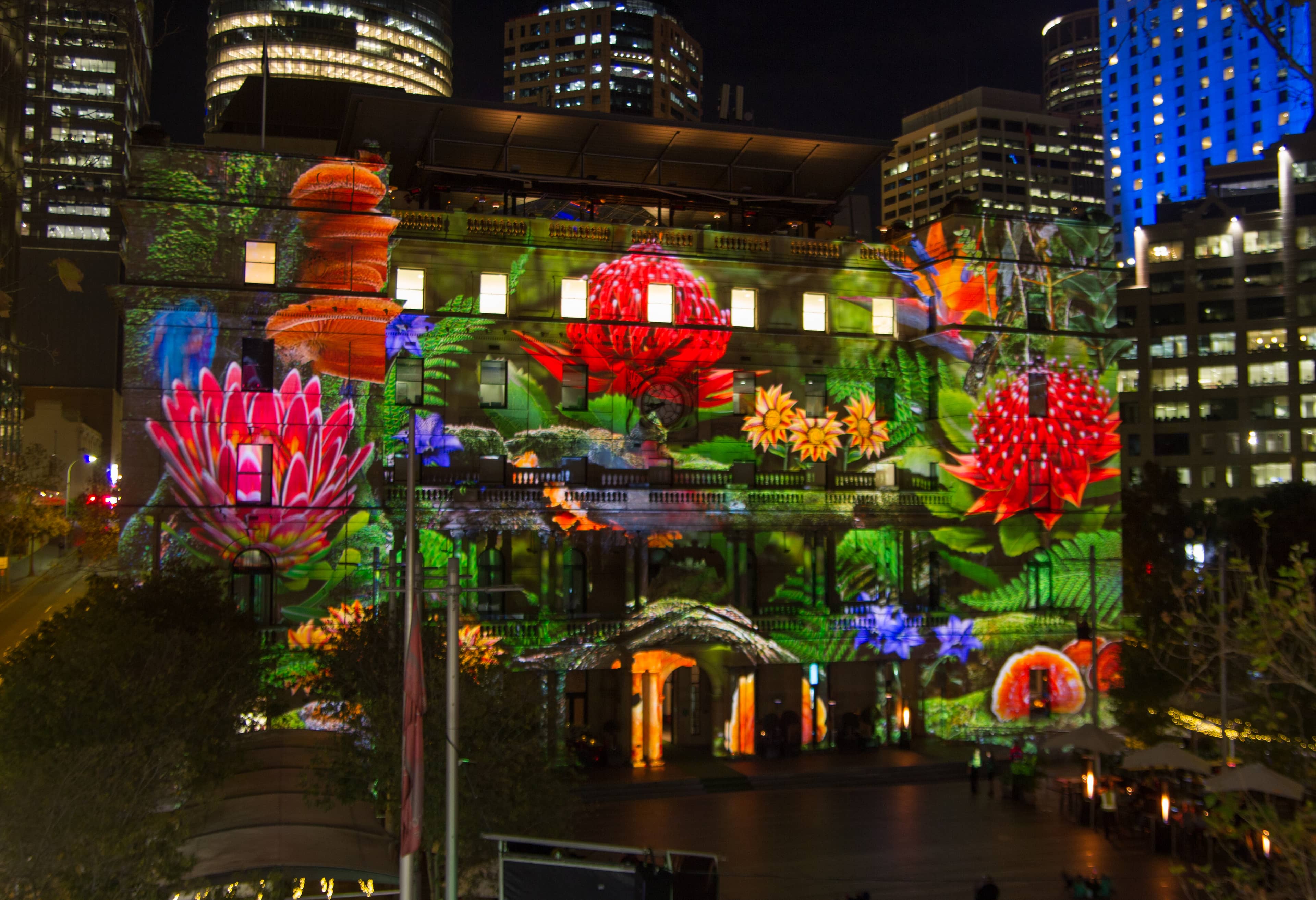 Vivid Sydney Installations