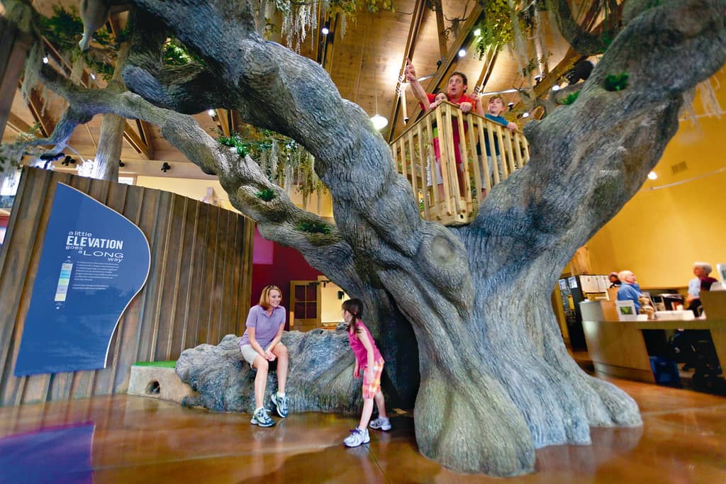 Nature Center Exhibits