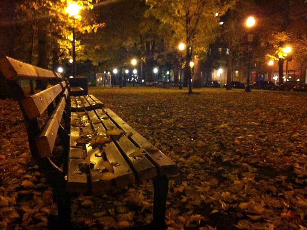 Urban Oasis for Relaxation