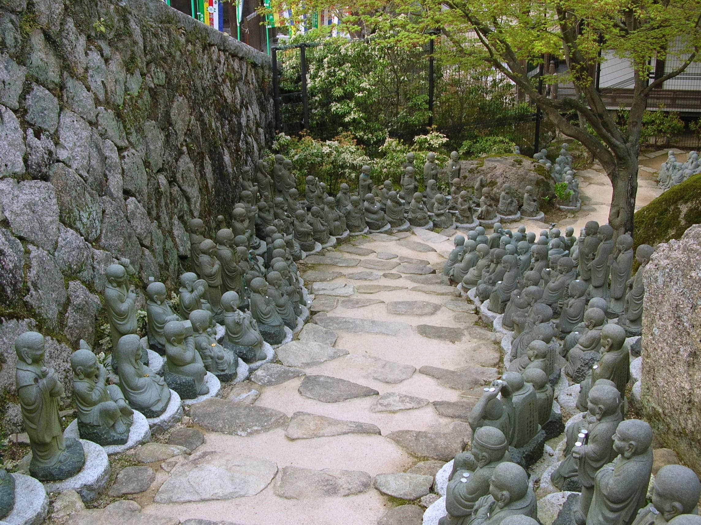 Mystical Foggy Views