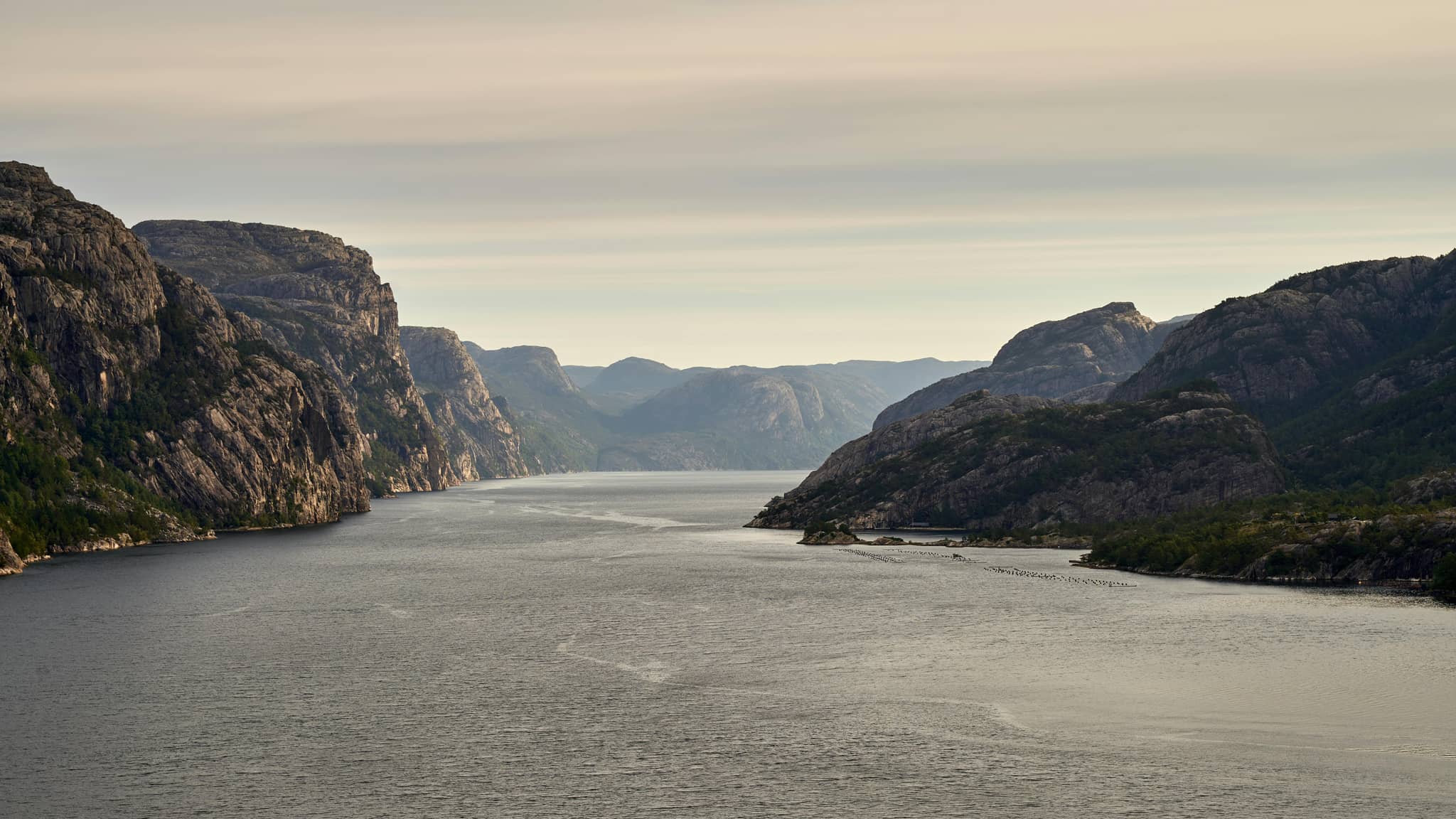 Lysefjord Vistas