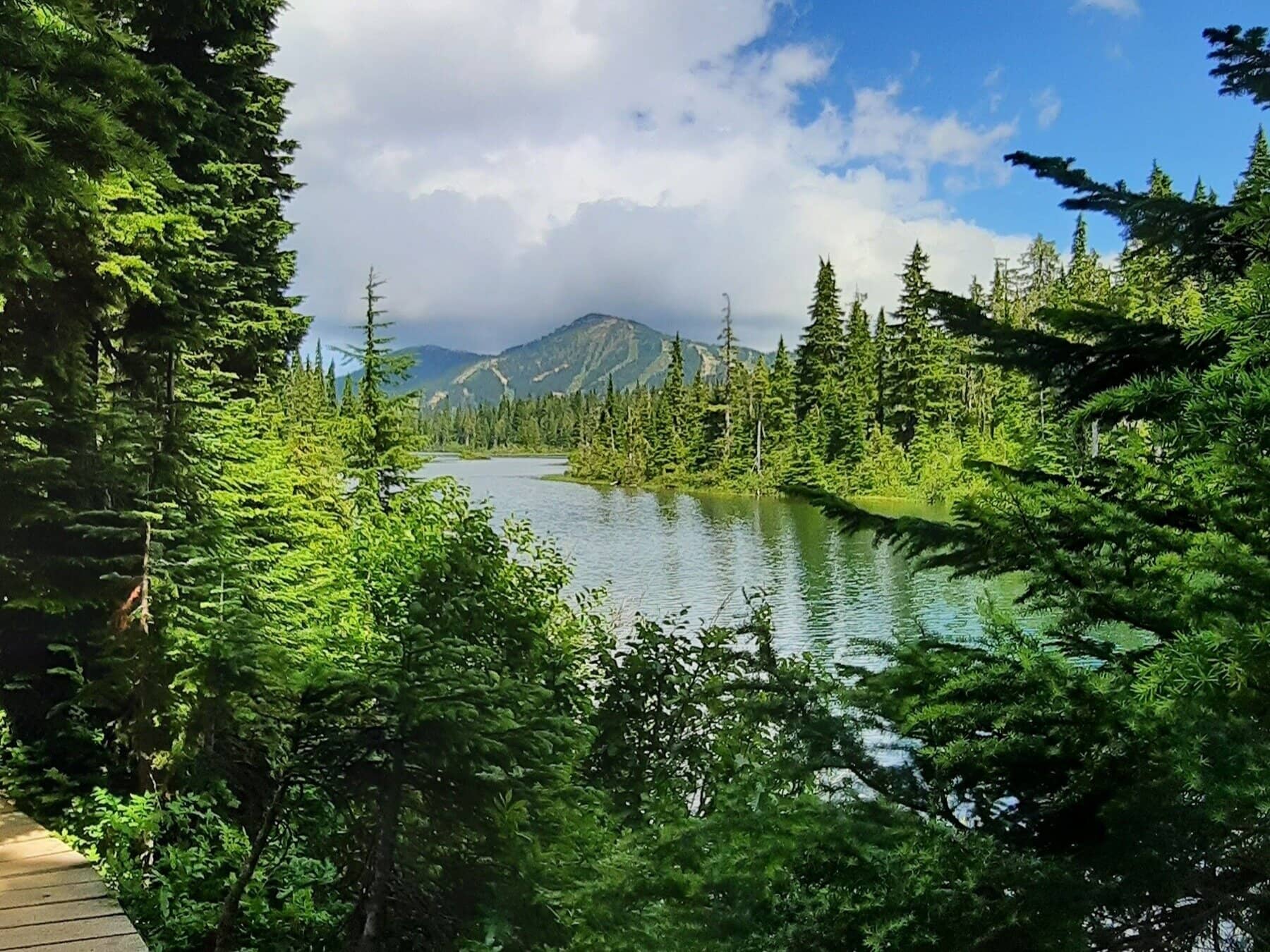 Buttle Lake & Elk River Area