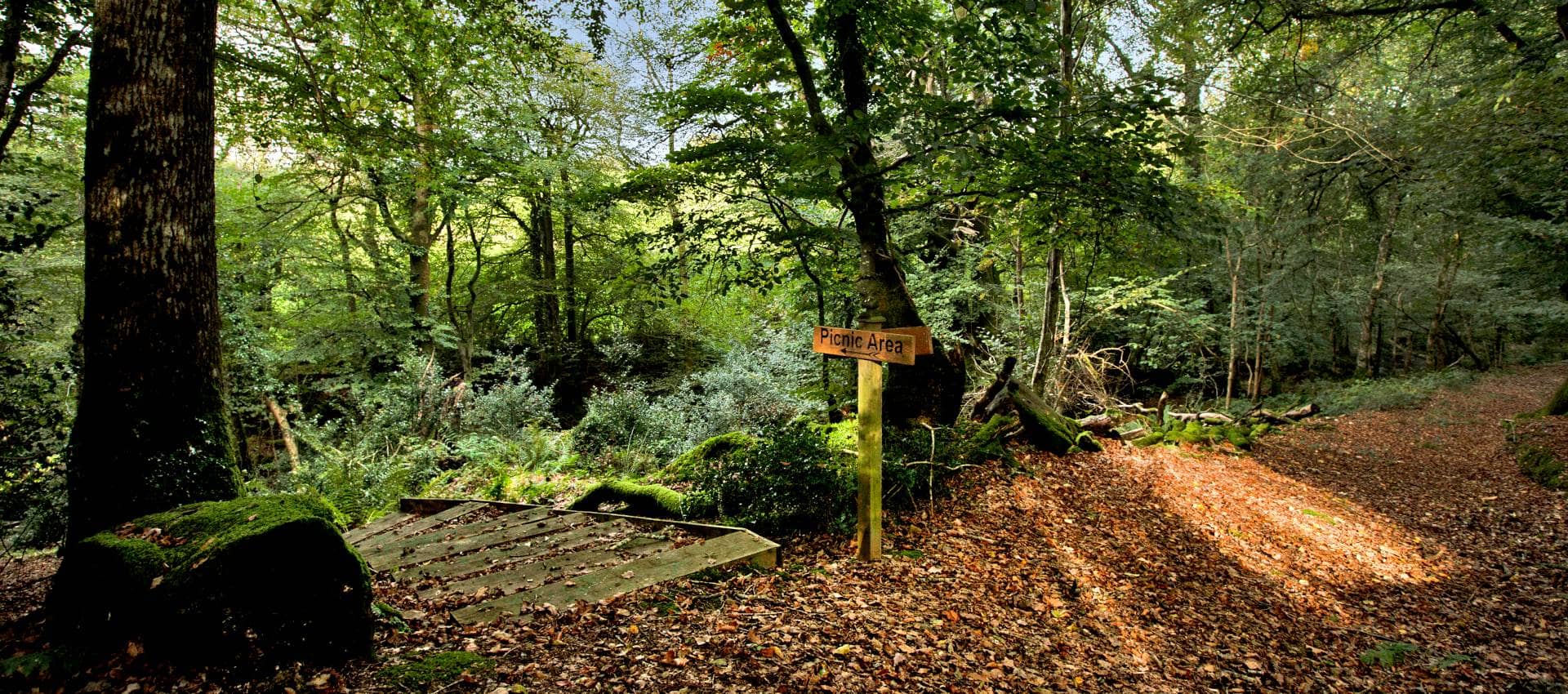 Nature Play Area