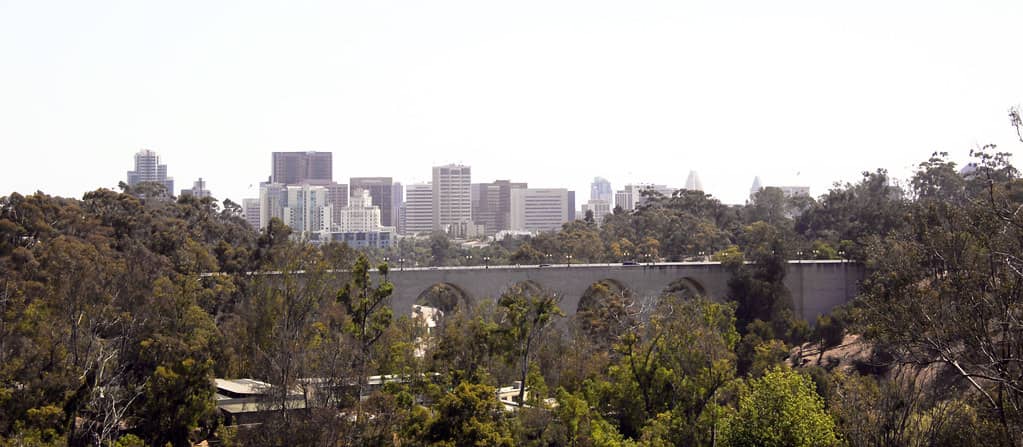 Panoramic City Views