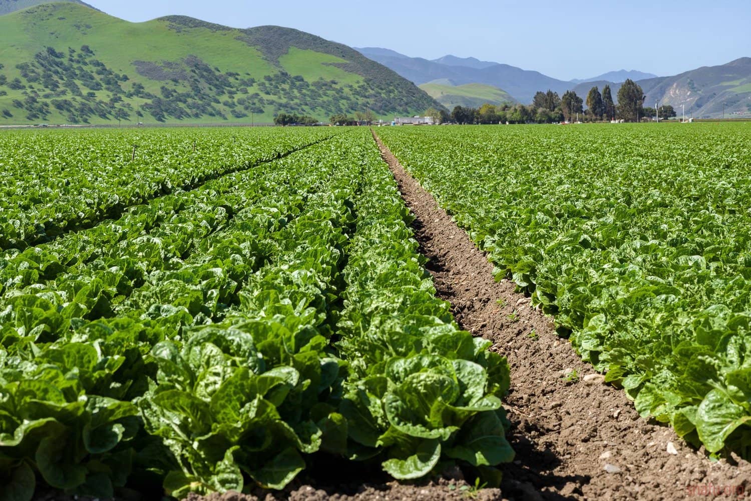 Handicrafts & Unique Crafts