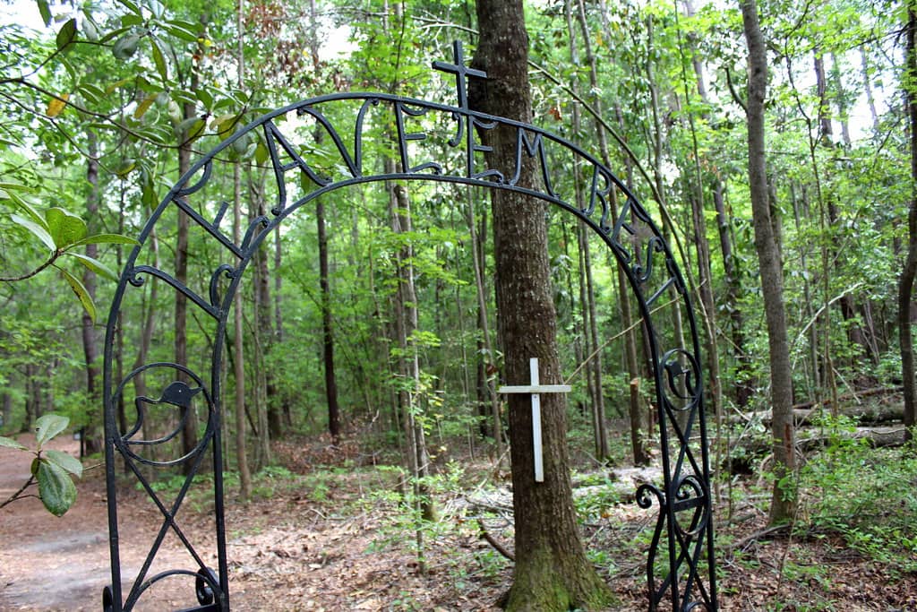 African American History