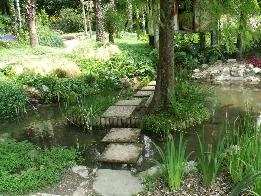 Tranquil Ponds and Wildlife