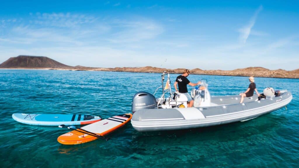 Snorkeling with Friendly Fish