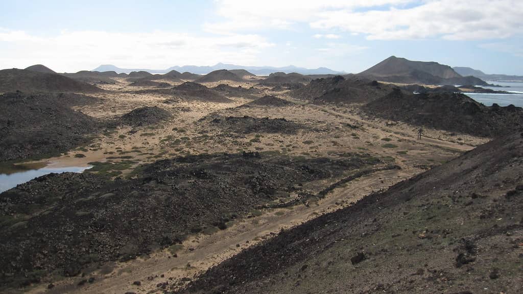 Scenic Coastal Walks