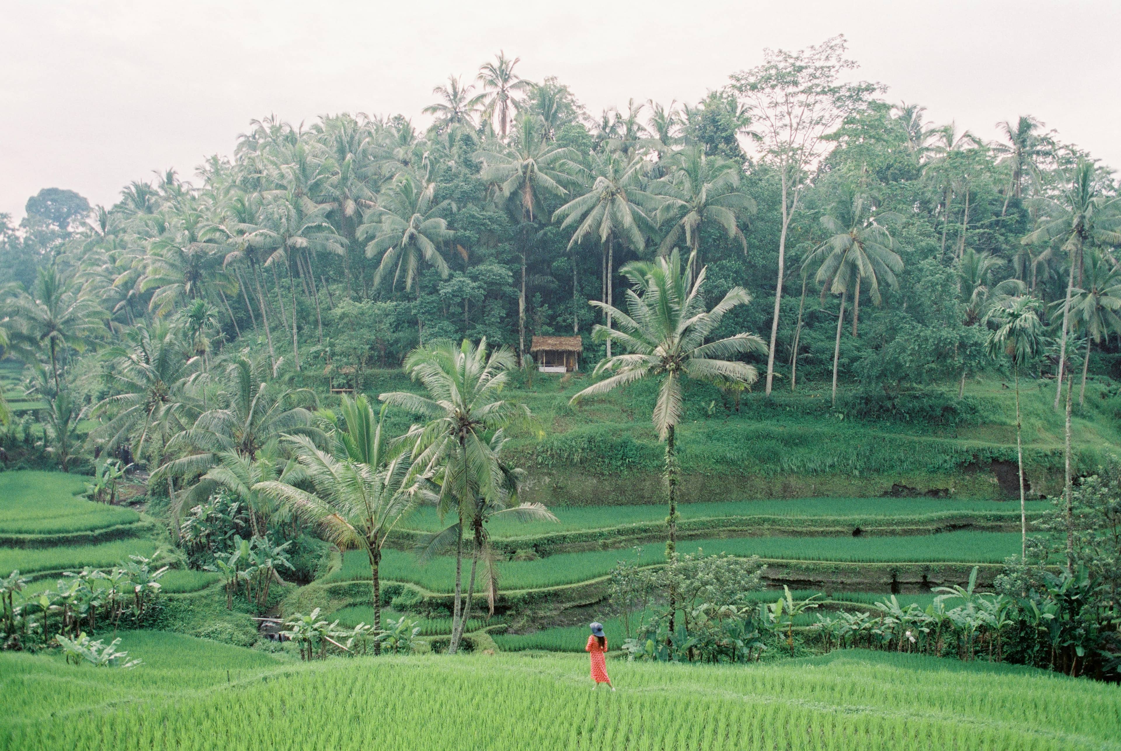 Traditional Balinese Village