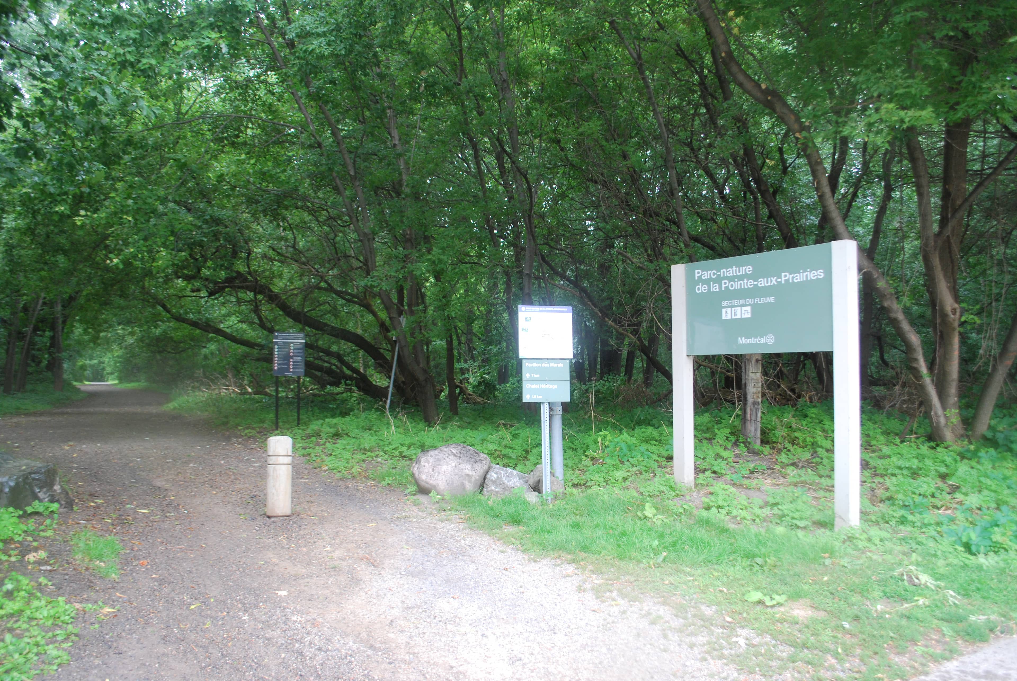 Peaceful Nature Walks