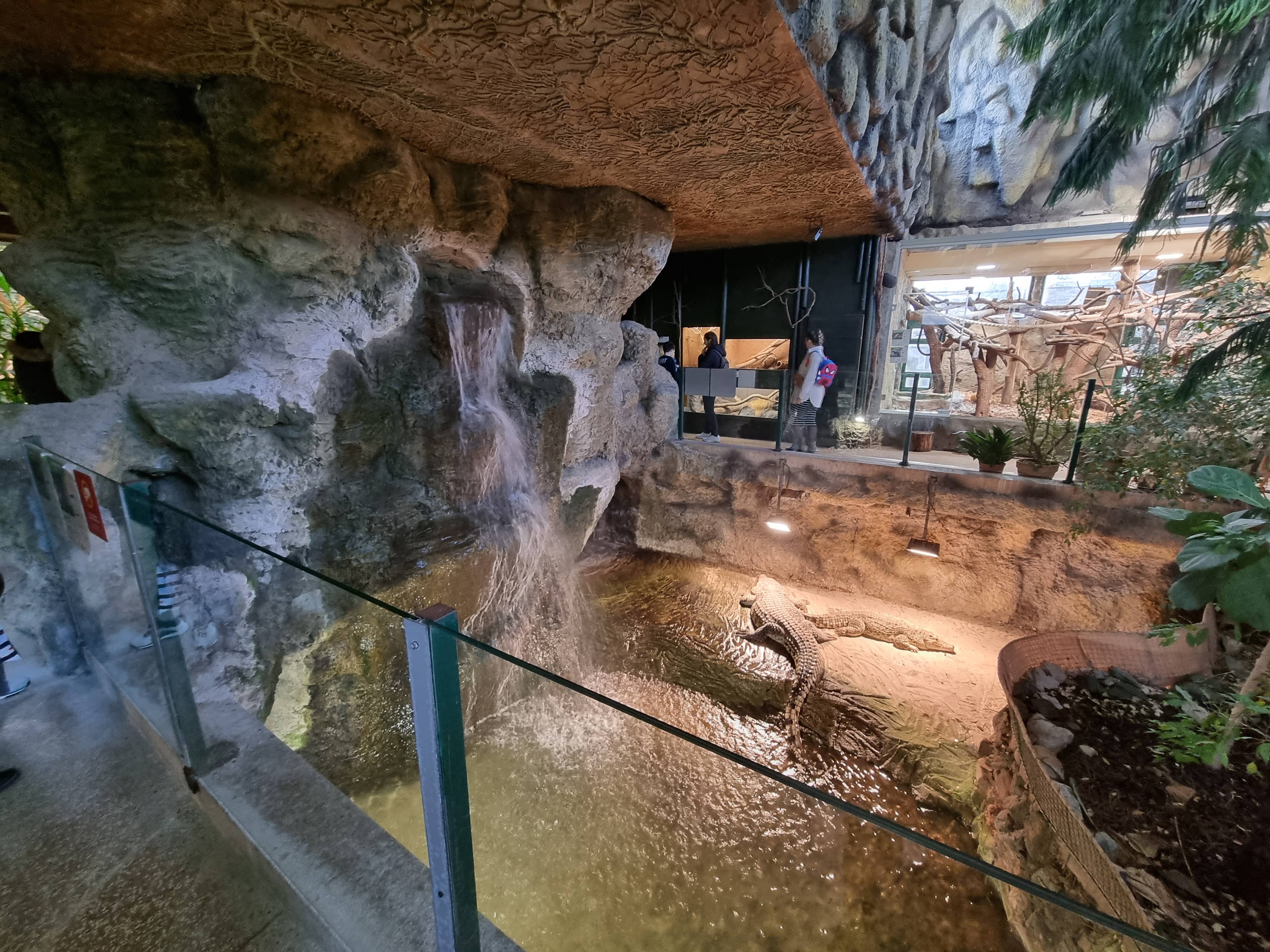 Reptile & Amphibian Collection