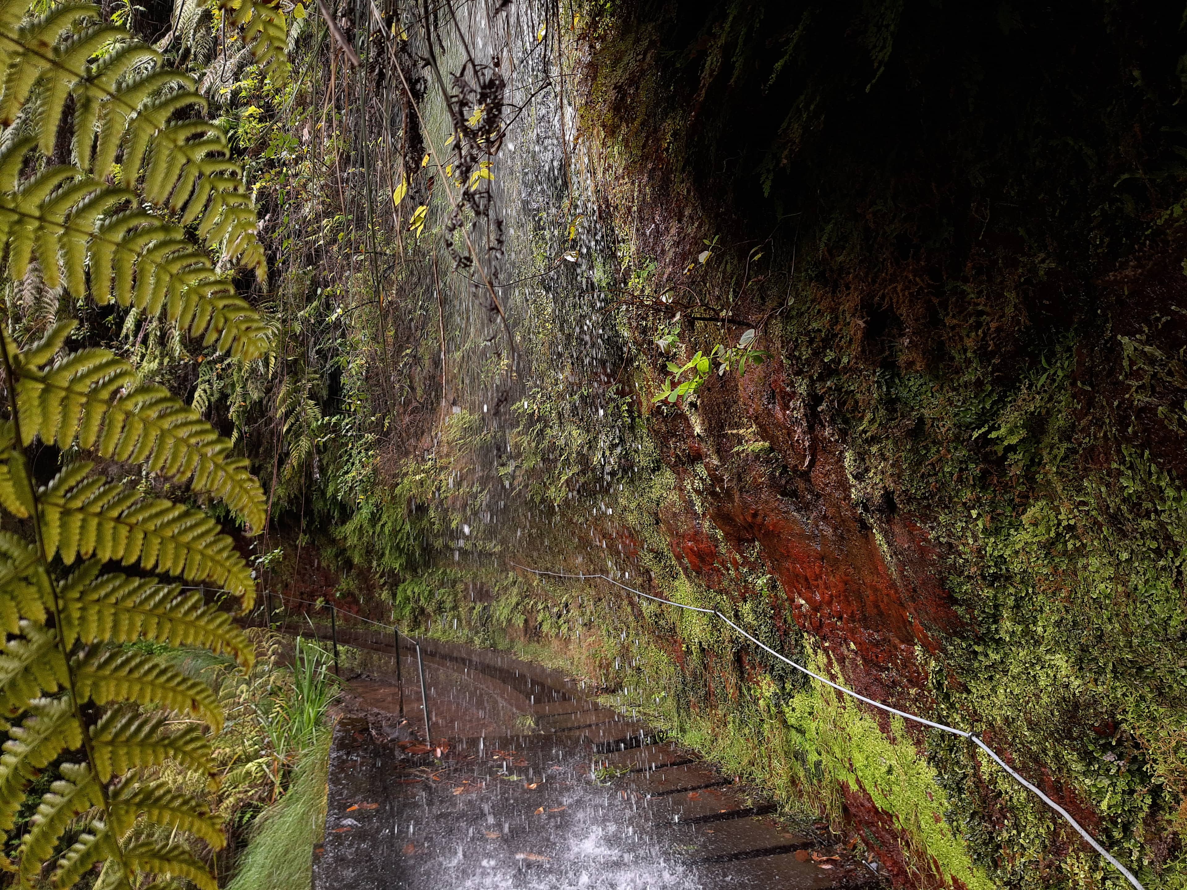 Valley and Cliff Vistas