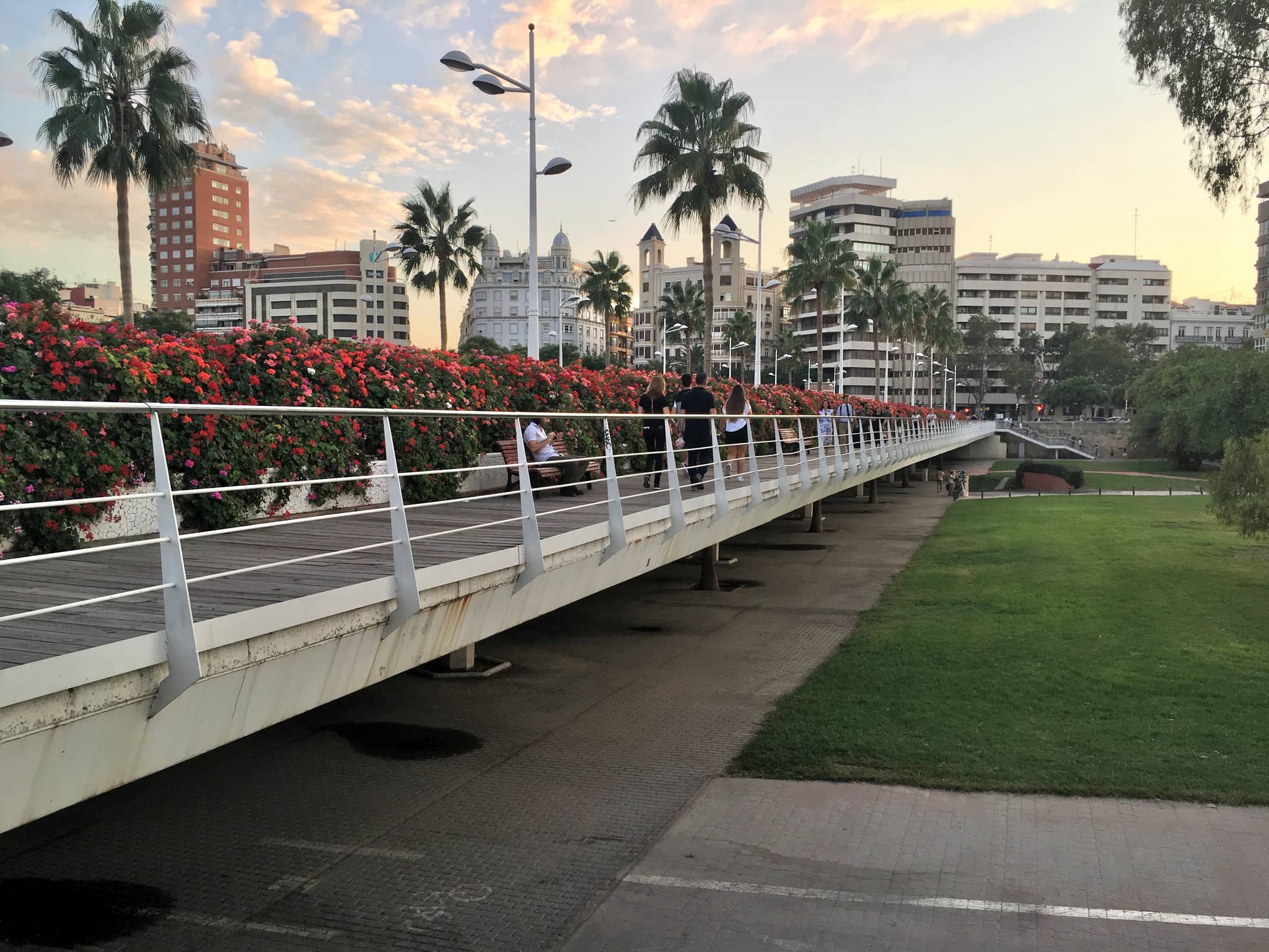 Panoramic City Views