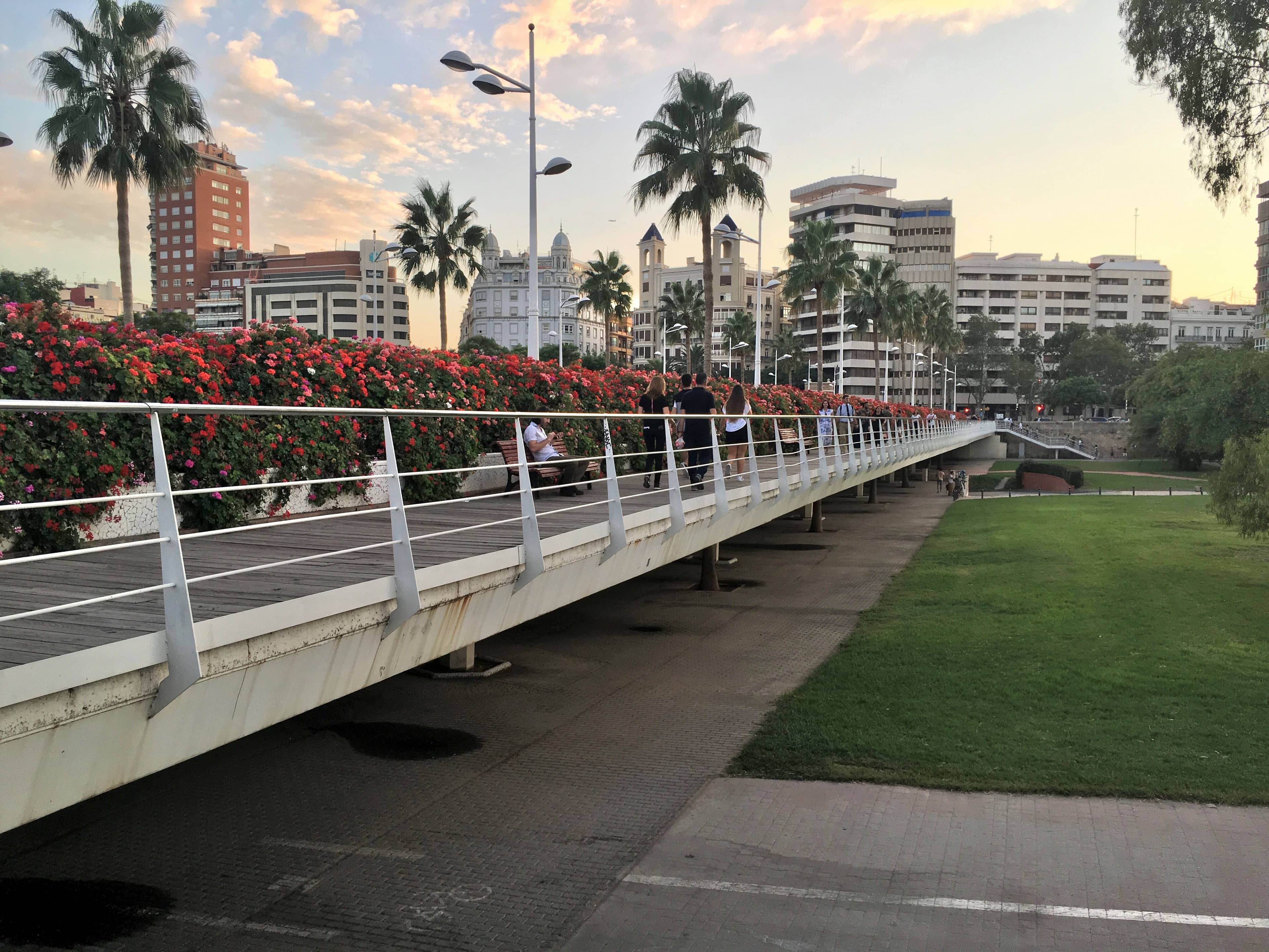 Panoramic City Views