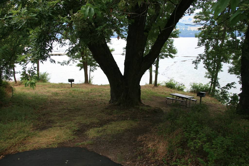 Parque Roosevelt's Green Spaces