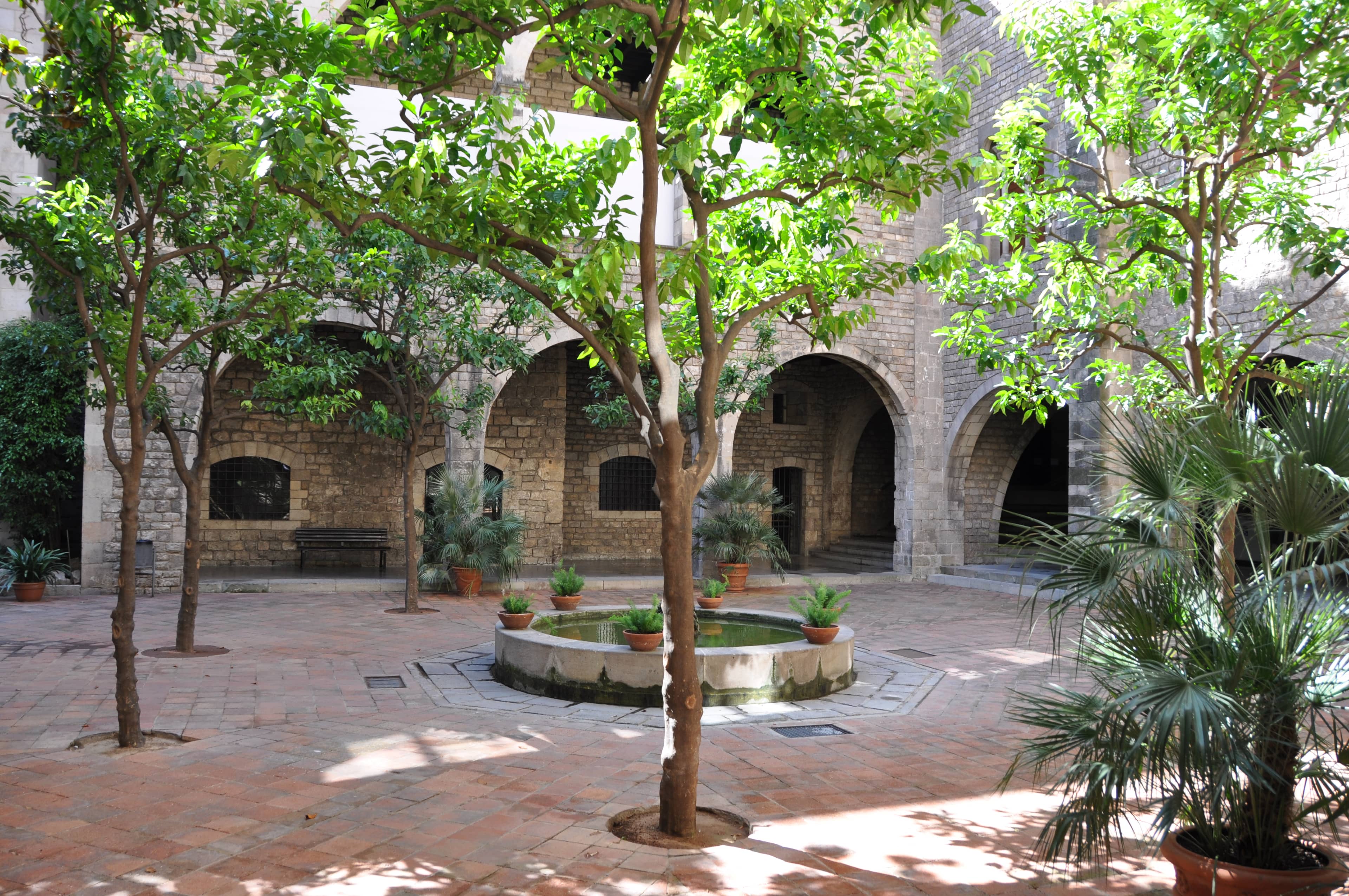 Tranquil Courtyard