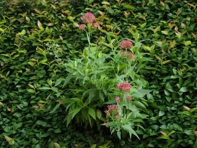 Thoughtful Lighting Design