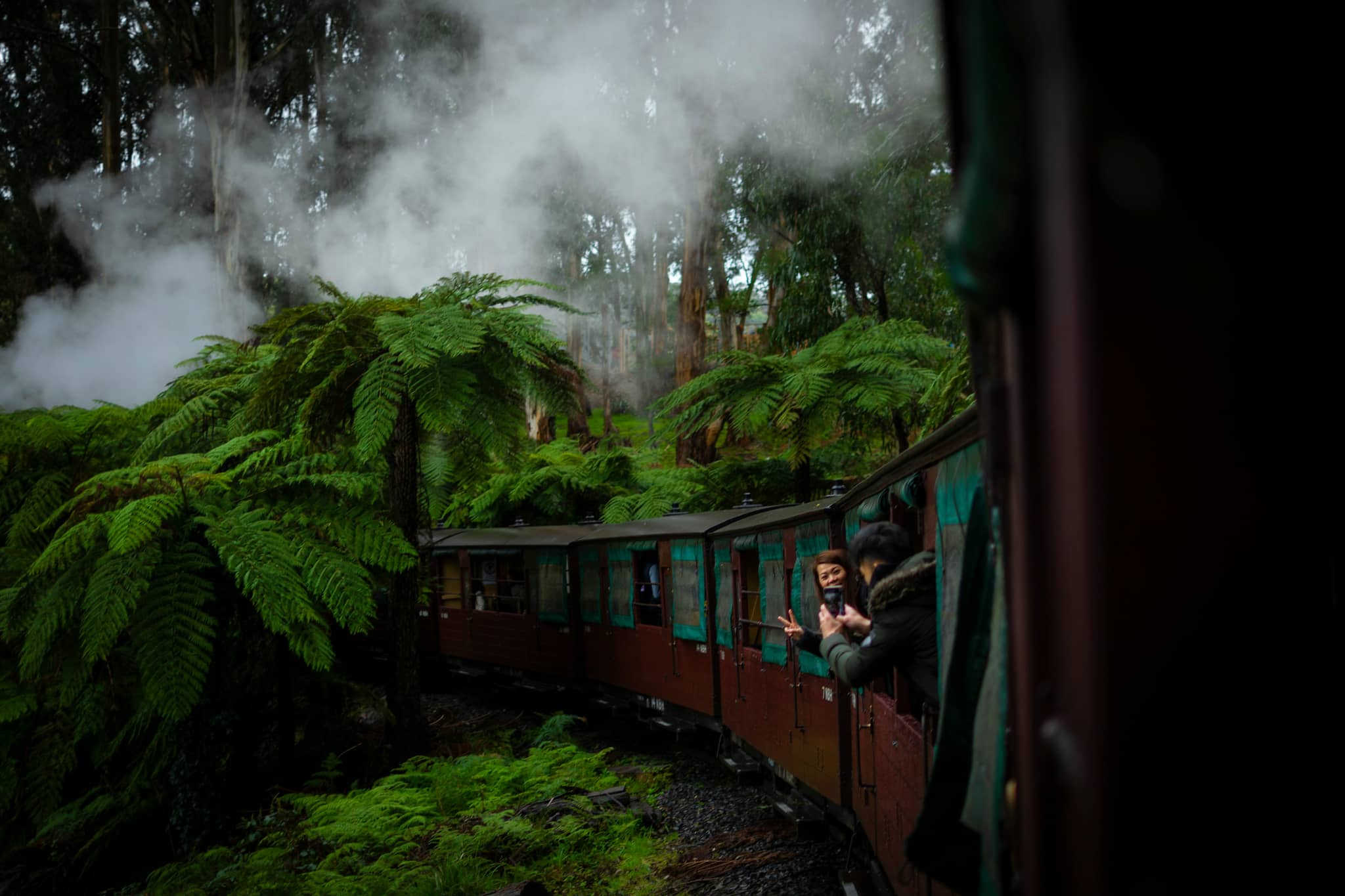 Rainforest Scenery